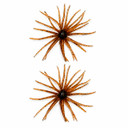 Image of the Head Hunter Lures Spider Monkey, 7mm