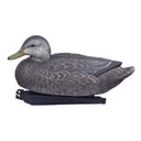 Side Image of the Hen Essential Series Black Duck Floating Decoy.