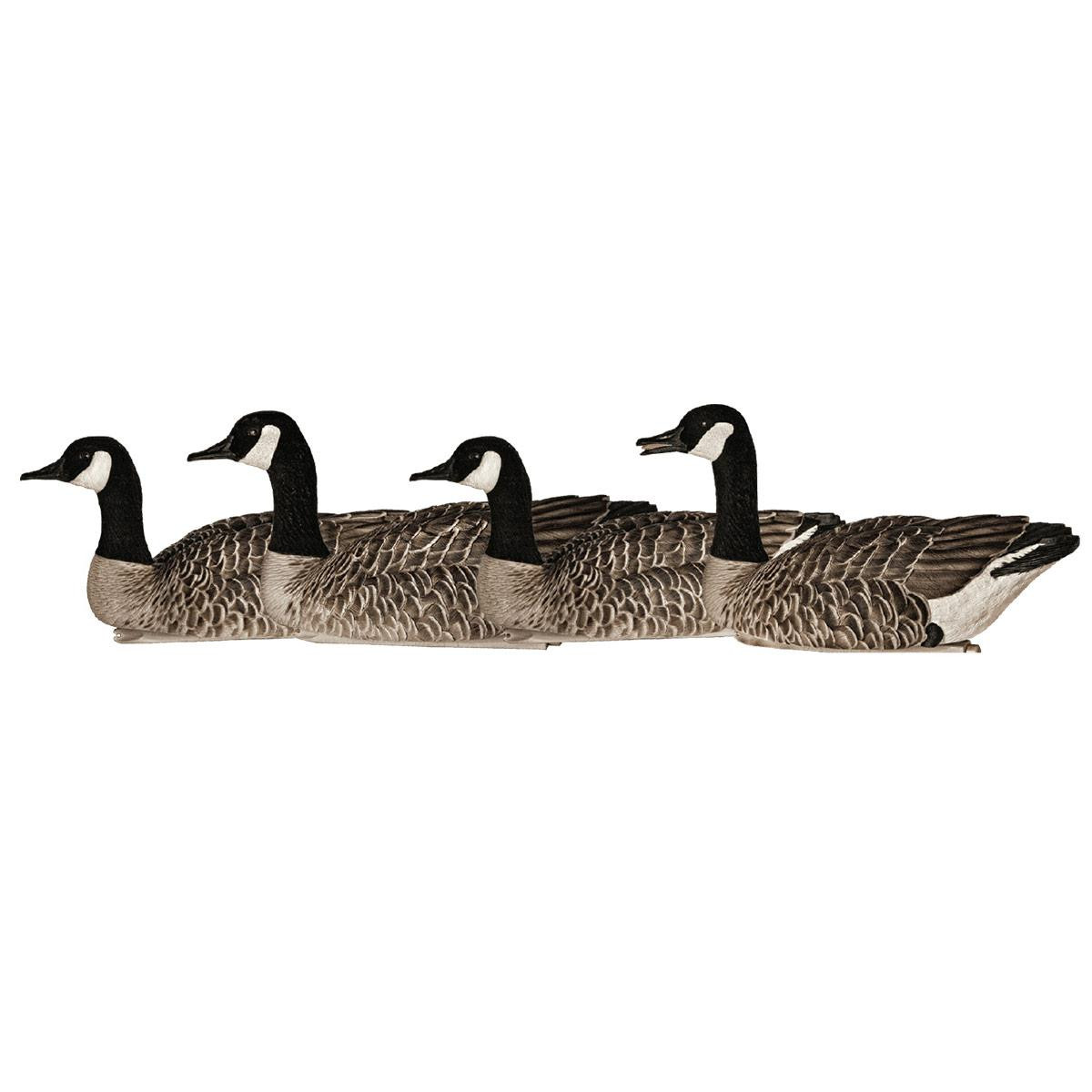 AvianX Topflight Specklebelly Goose Floating Decoys 4 Pack Rogers