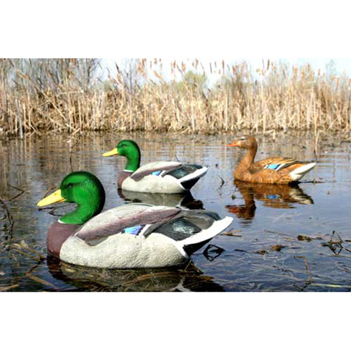 Dakota Decoy XTreme Fully Flocked Mallard Decoys, 6 Pack Rogers