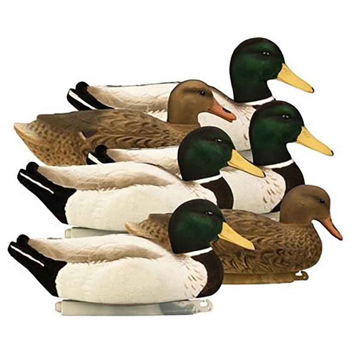 Dakota Decoy XTreme Fully Flocked Mallard Decoys, 6 Pack Rogers