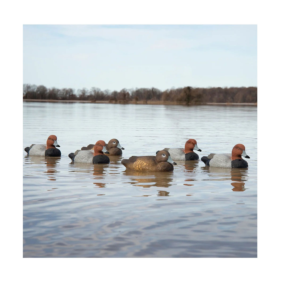 Higdon Standard Diver 12Pack Decoys 8 Bluebills/4 Canvasbacks