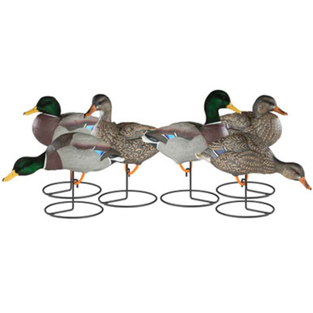 Dakota Decoy XTreme Packable Mallard Decoys, 12 pack Rogers Sporting
