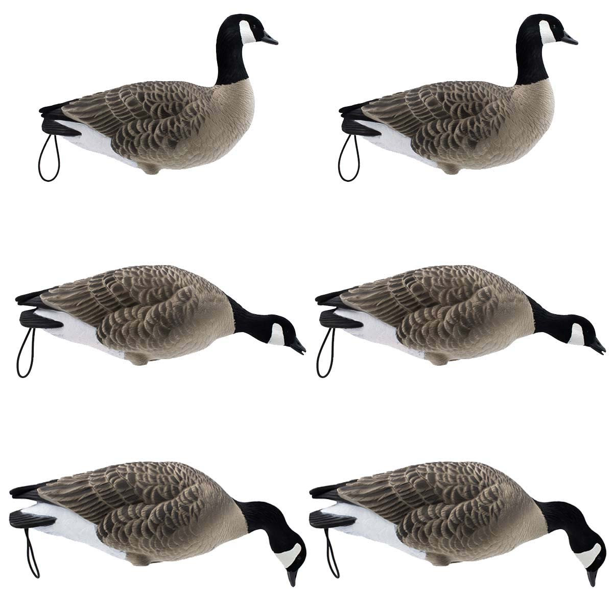 Dakota Decoy Fully Flocked 19300 Signature Series Feeder Geese Rogers