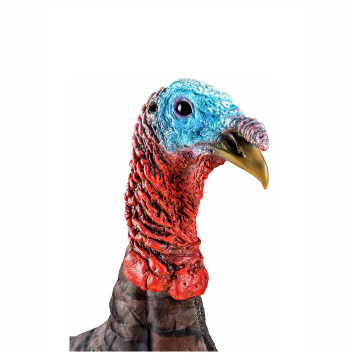 AvianX HDR Jake Turkey Decoy Rogers Sporting Goods