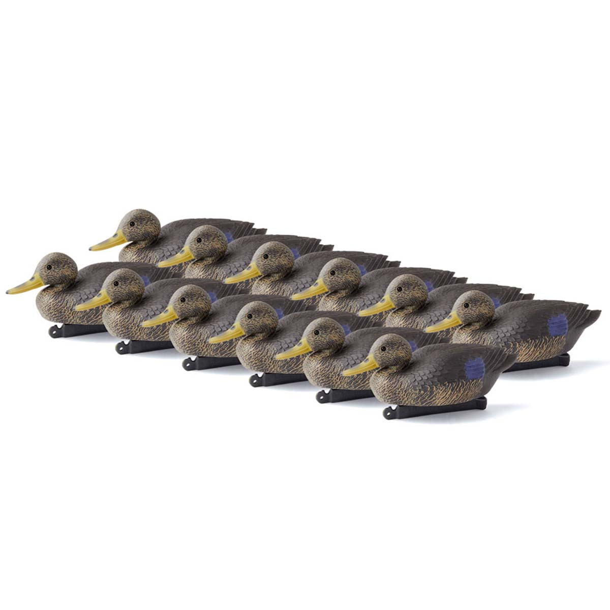G&H Decoys Black Duck Decoys 12 Pack Rogers Sporting Goods
