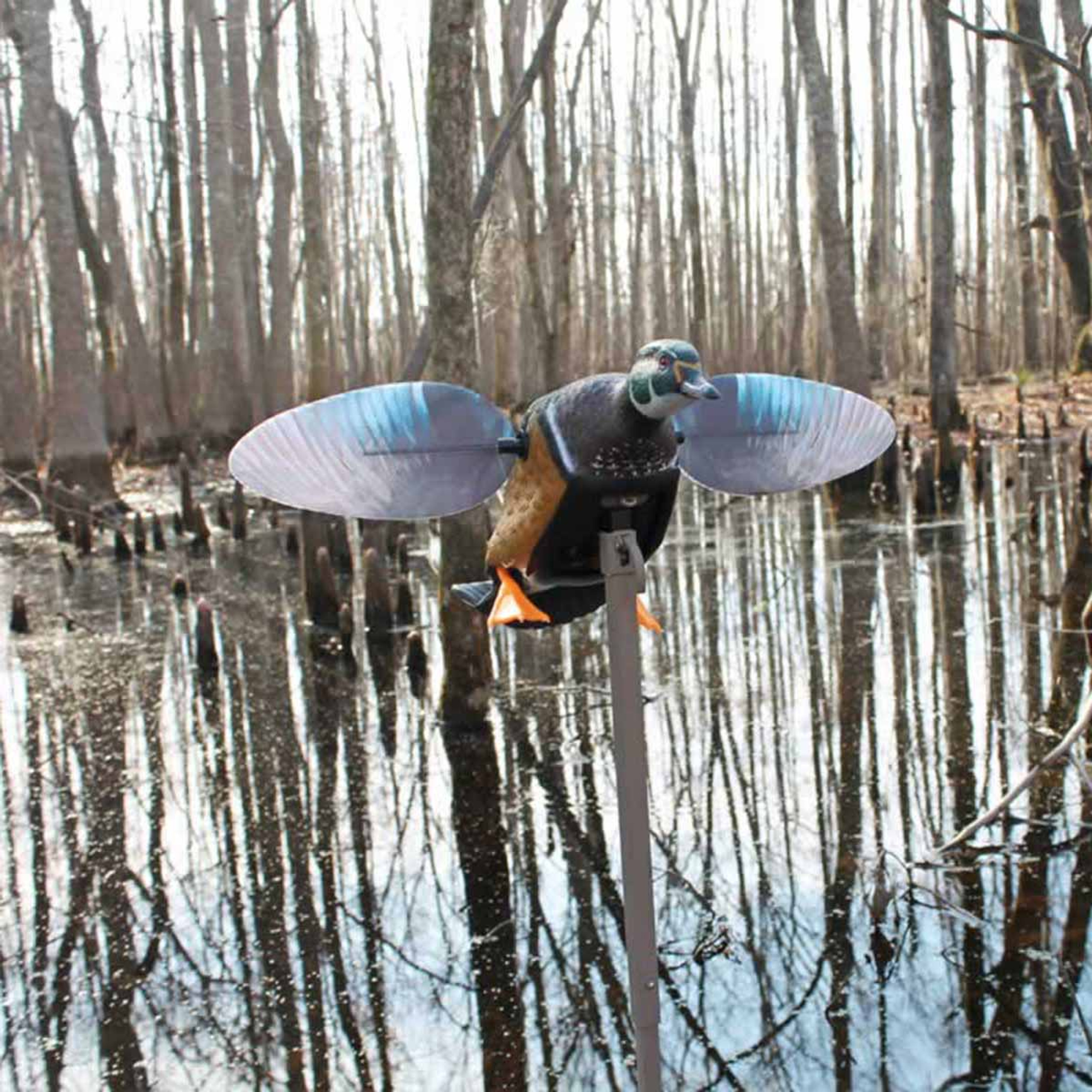 MOJO Wind Duck Decoys Rogers Sporting Goods
