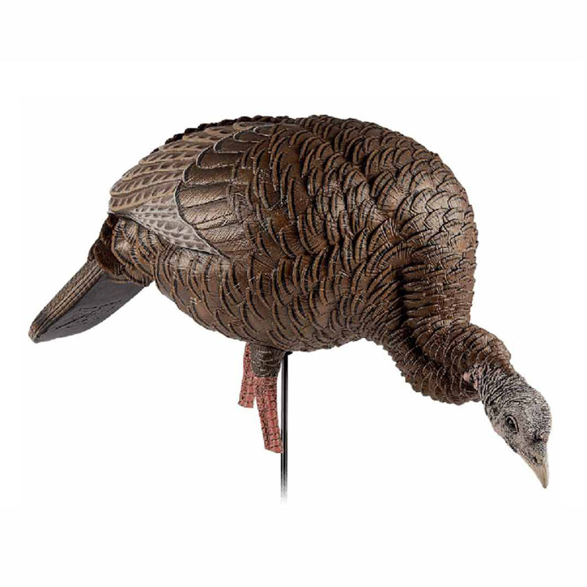 AvianX HDR Jake and Feeding Hen Turkey Decoy Combo Rogers Sporting Goods