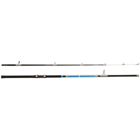 BnM Silver Cat Spinning Reel Rod Combo