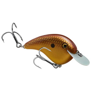 Sexy Shad 2.0