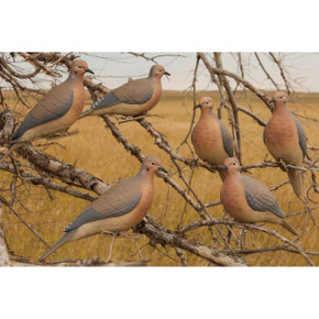 Mourning Dove Decoys - 6 Pack