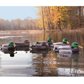 Standard Mallard Duck Decoys 6 Pack