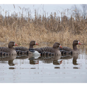 Topflight Specklebelly Goose Floating Decoys, 4 Pack