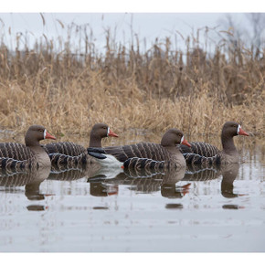 Topflight Specklebelly Goose Floating Decoys - 4 Pack