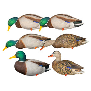 Six Pack Image of the Avian-X AXP Full Body Mallard Decoys.
