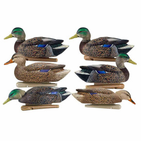 Image of the Avian-X Early Season Mallards.