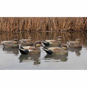 Avian-X Topflight Floating Gadwall Duck Decoys, 6 Pack Field Image