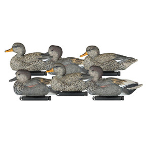 X-Treme Gadwall Duck Decoys, 6 Pack