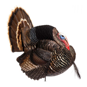 Dave Smith Decoys Strutter Turkey Decoy Image