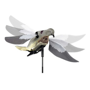 Rapid Flyer Dove