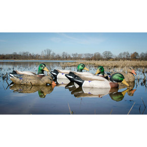 Lifestyle Image of the Higdon Outdoors Battleship Foam-Filled Mallard Decoys.