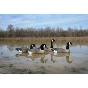 Full Size Foam Filled Canada Goose Floaters, 4 Pack