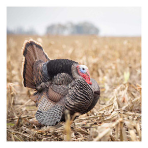 Dave Smith Decoys Jake Strutter Turkey Decoy Field Image