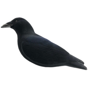 Single Image of the Final Approach Fully Flocked Crows Decoys.