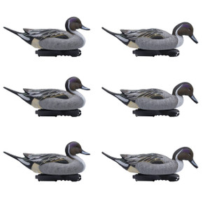 Live Pintail Floater Duck Decoys, 6 Pack