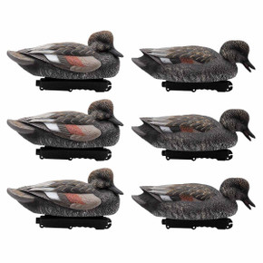 Live Gadwall Floater Duck Decoys, 6 Pack