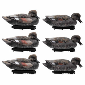 Live Gadwall Floater Duck Decoys - 6 Pack