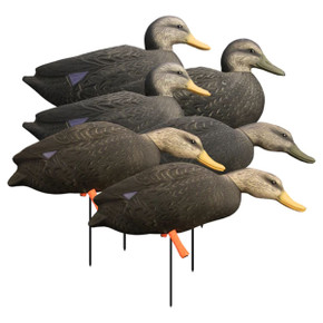Magnum Full-Body Black Duck Decoys, Variety 6 Pack