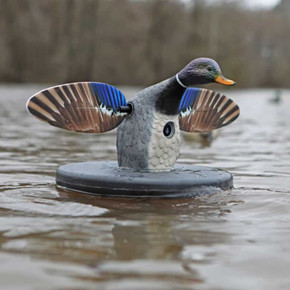On-the-Water Image of the Mojo Outdoors Mallard Drake Elite Series Spinning Wing Floating Duck Decoy.