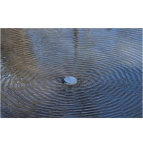 Image of the Lucky Duck Quiver Magnet
