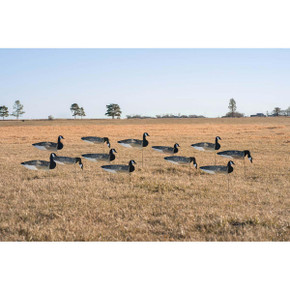 Pro-Grade Canada Goose Sock Decoys with Painted Heads - 12 Pack