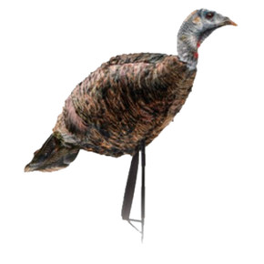 Miss Purr-Fect XD 3D Hen Decoy