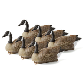 Canada Goose Floater, 6 Pack