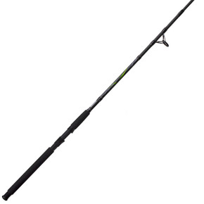 Big Cat Spinning Rod