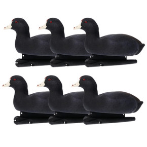 Six Pack Image of the Avian-X Topflight Floating Coot Duck Decoys.
