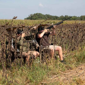 MOmarsh Tactical Dove Chair