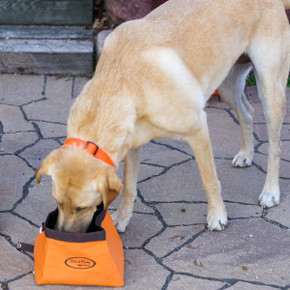 Dog Drinking From Bowl Image of the Mud River Renegade Water Bowl.