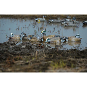 GHG Decoy Systems Pro-Grade Wigeon Decoys - 6 Pack Lifestyle Image GHG Decoy Systems Pro-Grade Wigeon Decoys - 6 Pack Lifestyle Image