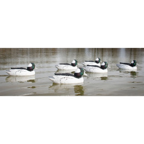 Higdon Outdoors Standard Bufflehead Drake Foam-Filled Duck Decoys - 6 Pack Lifestyle Image Higdon Outdoors Standard Bufflehead Drake Foam-Filled Duck Decoys - 6 Pack Lifestyle Image