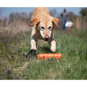 Dog Training Bumpers - Orange\Medium - 3 Pack