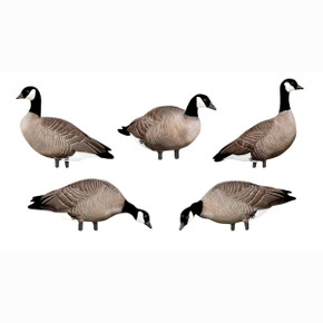 Big Al's Decoys Take Em Style Lesser Canada Goose Silhouette 12 Pack Image