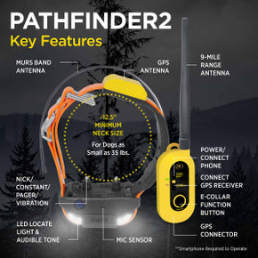 Pathfinder 2 E-Collar