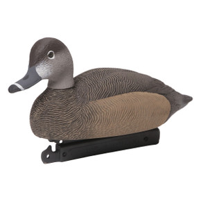 Ringneck Duck Decoys - 12 Pack