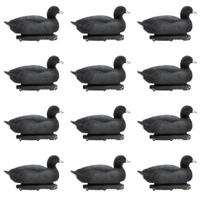 Last Pass  Floating Coots Decoys, 12 Pack