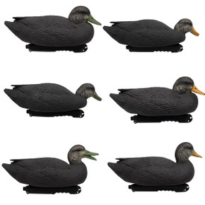 HD Black Duck Floater Decoys