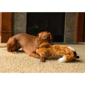ROCT Lazy Fox Unstuffed Dog Toy Lifestyle Image